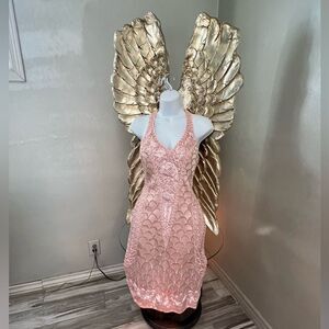 Gorgeous Sue Wong Nocturne Size 2 Pink Dress